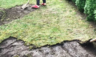 Снятие дерна старого газона в Тихвине – от 523 руб. | ГОСТСТРОЙ